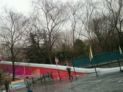 -紫竹院公园冰场