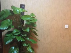 -莱仪堂艾灸经络养生馆(九亭一店)