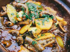 油焖鳝鱼-鹤江桥·红油牛肉粉(SKP店)