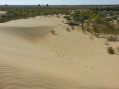 -亿利库布其七星湖沙漠生态旅游区