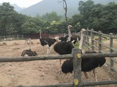 -西安秦岭野生动物园