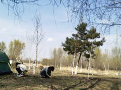 -蒲河岛湿地公园