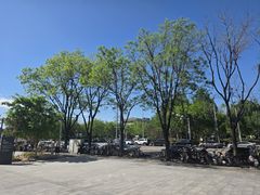 -大望京公园