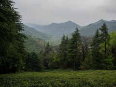 -东天目山风景区