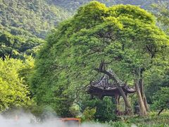 -广州市帽峰山景区
