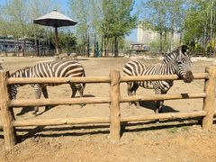 -大连森林动物园