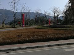 -成都蒲江花样年福朋喜来登度假酒店·宜客乐西餐厅