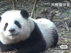 -成都银泰中心in99