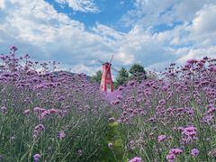 -名花谷生态庄园