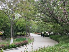 -西安青龙寺遗址景区