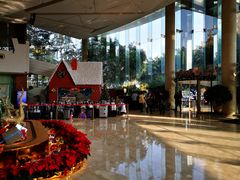 -成都世纪城假日酒店-西楼