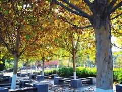 -北京西国贸大酒店