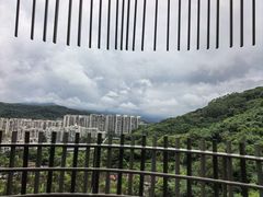 -福道