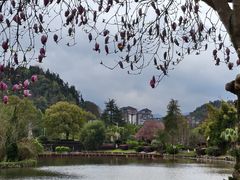 -明月山天沐温泉度假村