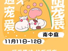 -万达广场(泰安泰山店)