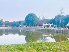 -广富林郊野公园