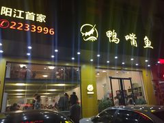 -鸭嘴鱼