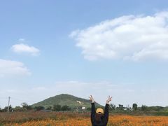 -桃花岛景观公园