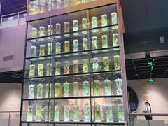 -广东中医药博物馆