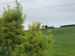 -紫颐香薰山谷景区