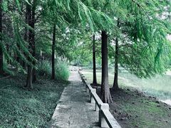 -长广溪湿地公园