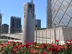 -中央广播电视总台(光华路办公区)