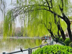 -莲湖公园