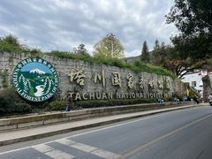 -塔川景区