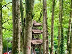 -青城山