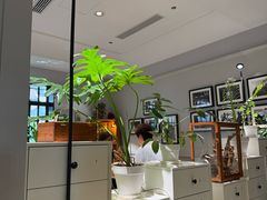 -一尺花园(安和花园店)