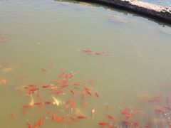 -月牙潭公园
