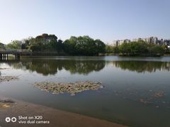 -新江湾城公园