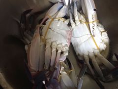三眼蟹-华威西营里农产品批发市场