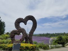 -紫颐香薰山谷景区