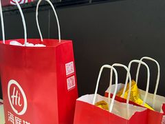 -海底捞火锅(吾悦国际广场店)