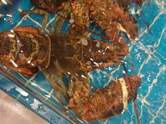 -新丁香海鲜酒店(银海商贸城店)