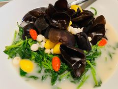 -三号黄浦会Canton Table