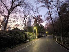 -北极阁公园