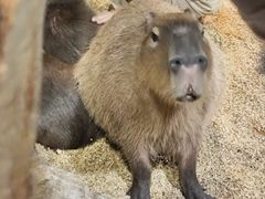 -海合安武汉极地海洋公园