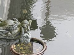 -深圳东部华侨城茵特拉根酒店