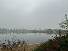 -天津金海湖