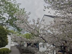 -鸣鹤古镇
