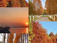 -白塘生态植物园