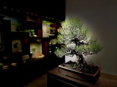 -双季花艺园艺市场(浦东店)