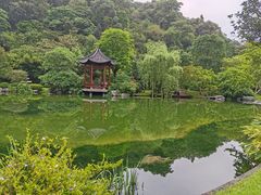 -云溪植物园