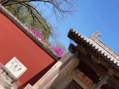 -永乐宫