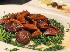 -新雅粤菜馆(南京东路店)