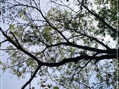 -嘉北郊野公园