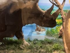 -国家自然博物馆