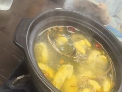 -金龙·打边炉(南京西路店)